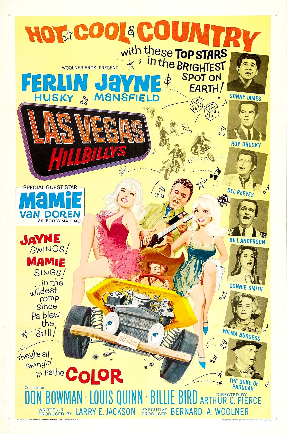Las Vegas Hillbillys 1966 DVD