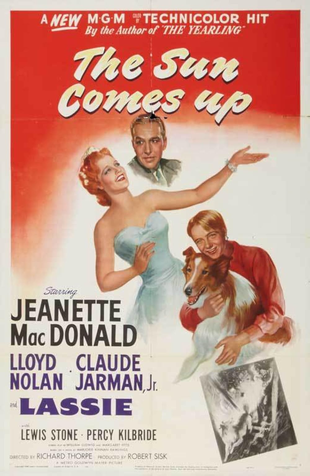 The Sun Comes Up 1949 DVD