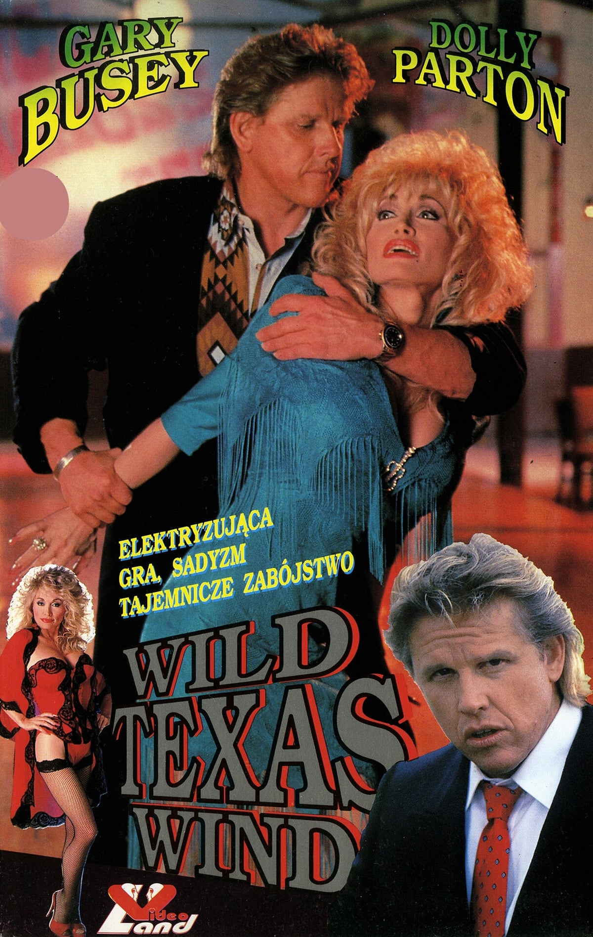 Wild Texas Wind 1991 DVD