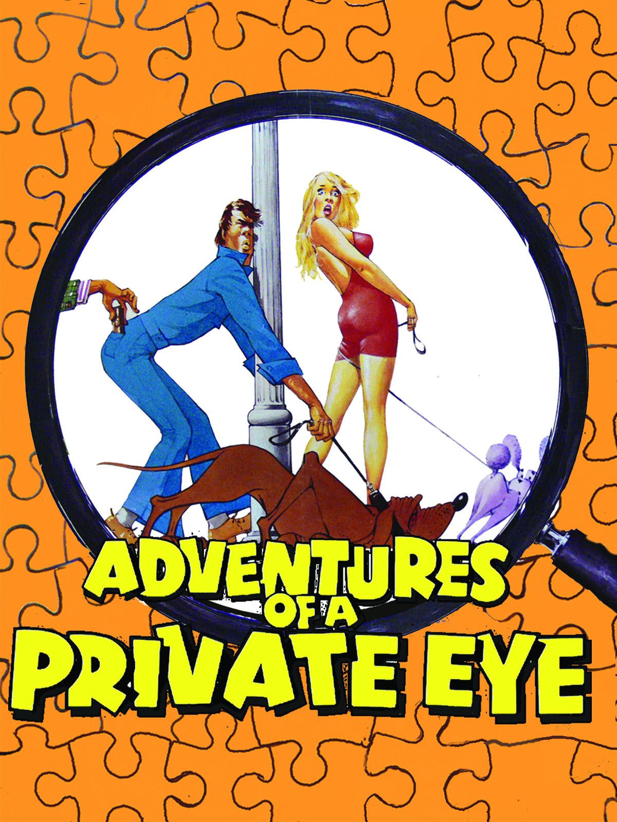 Adventures Of A Private Eye  1977 DVD