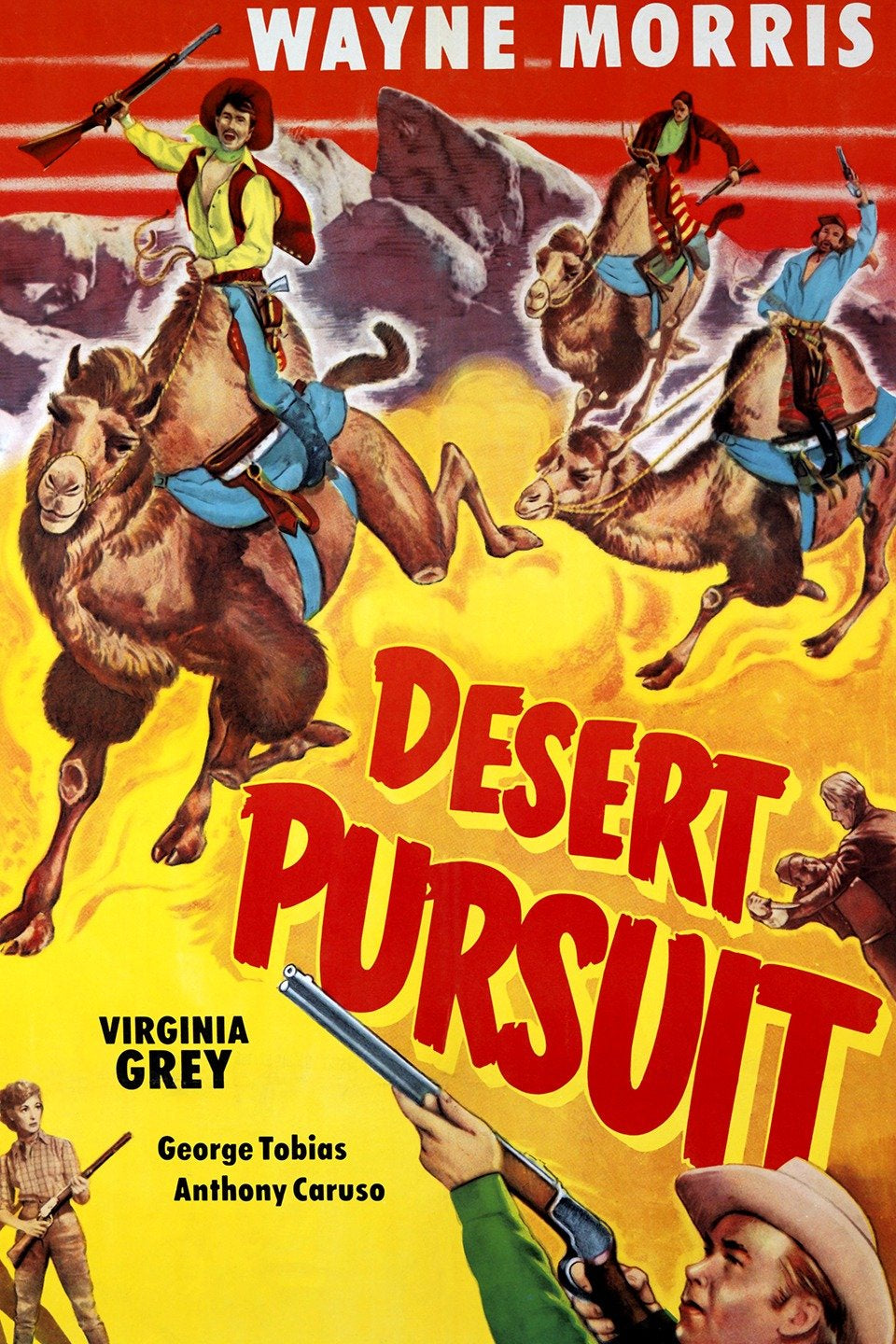 Desert Pursuit   1952  DVD