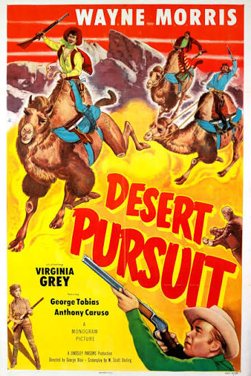 Desert Pursuit 1952 DVD