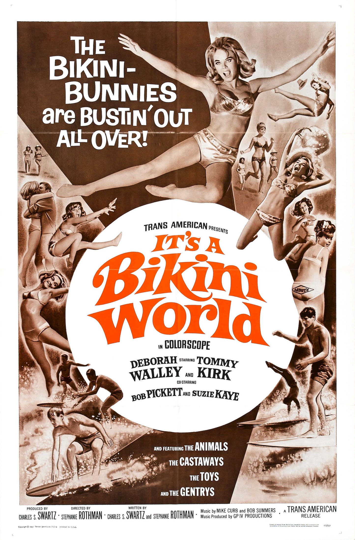 It's A Bikini World 1967 DVD