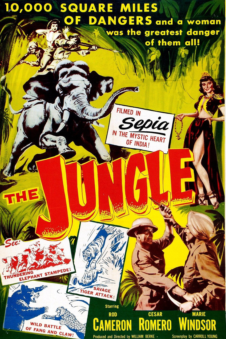 The Jungle 1952 DVD