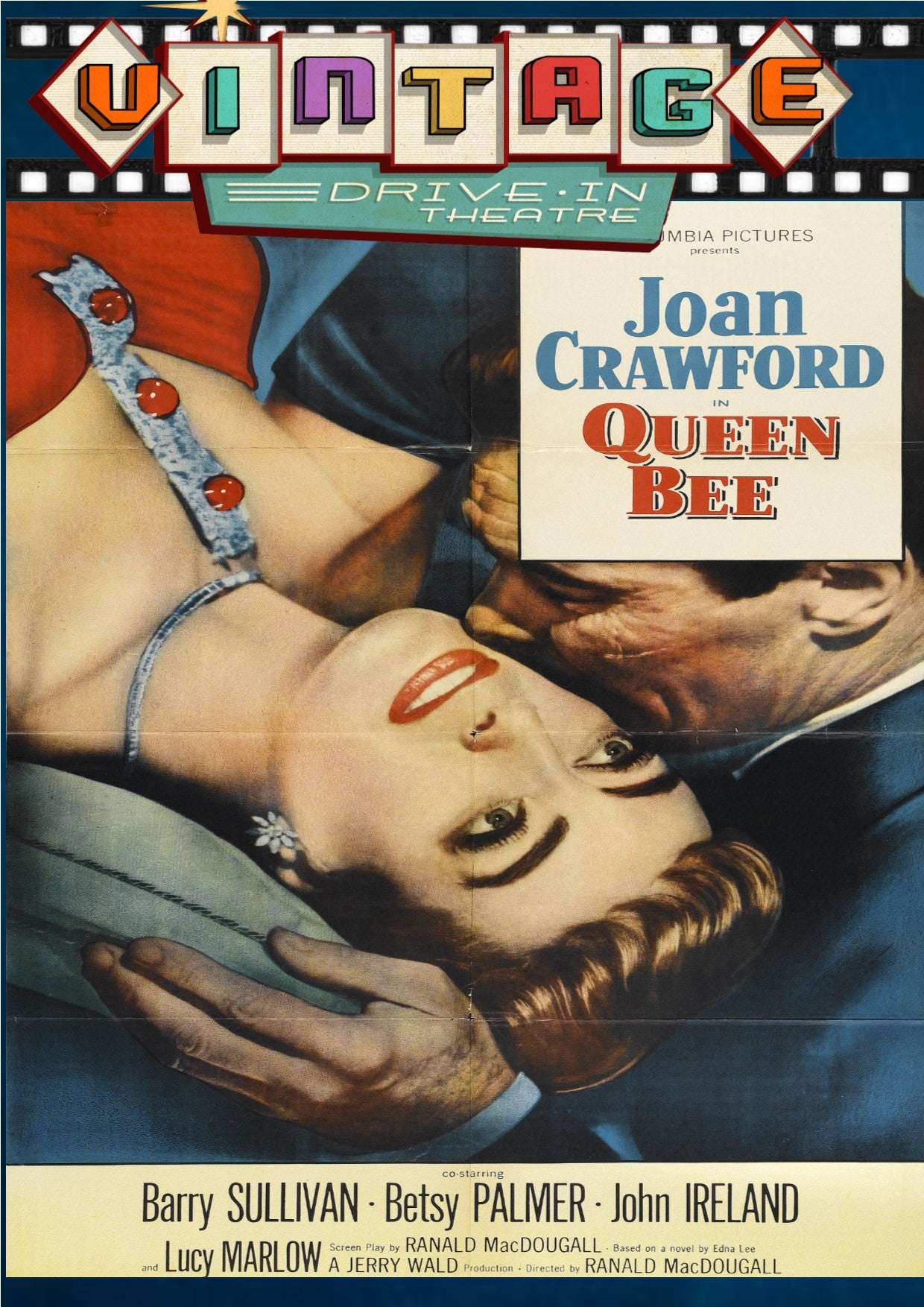 Queen Bee 1955 DVD
