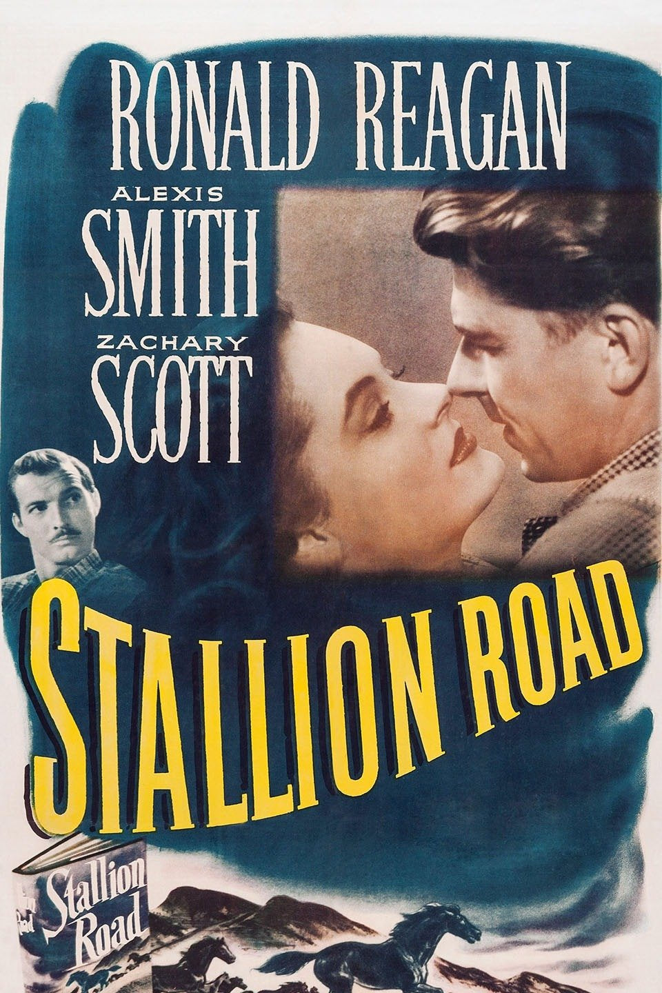 Stallion Road 1947 DVD