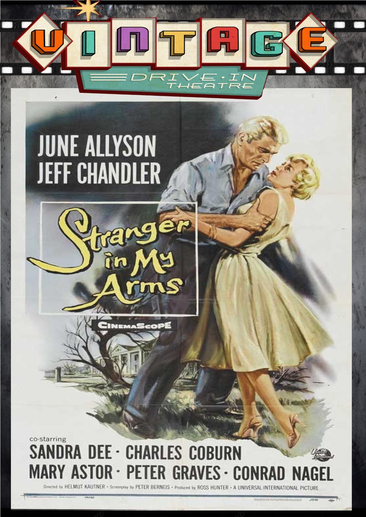 Stranger In My Arms 1959 DVD