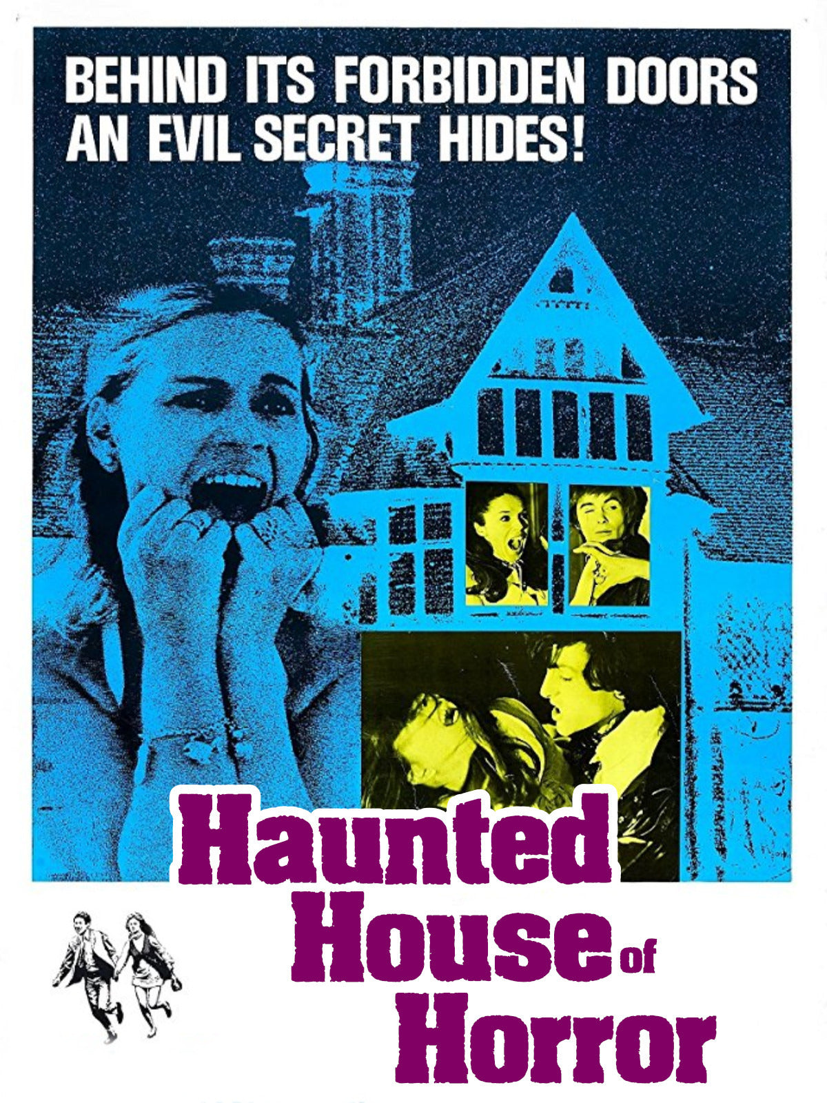 Haunted House Of Horror   1969  DVD