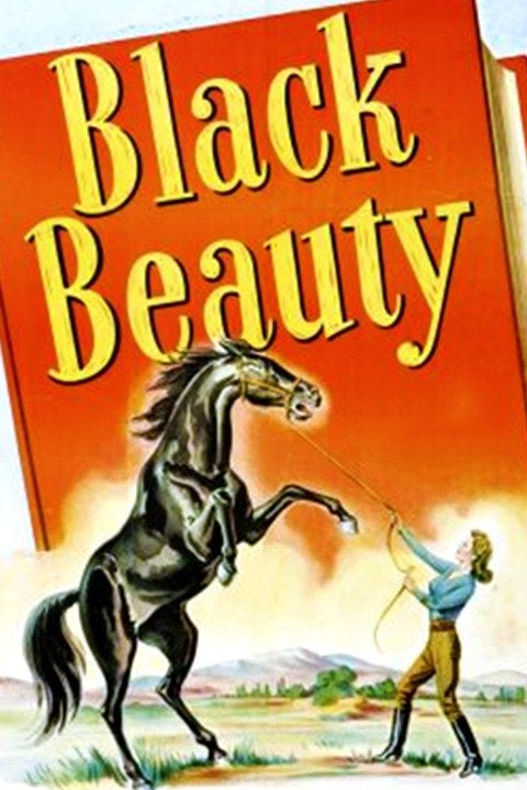 Black Beauty   1946  DVD