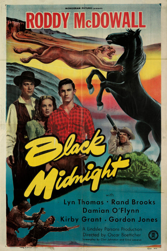 Black Midnight  1949 DVD