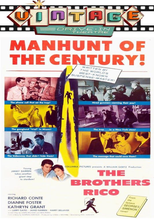 The Brothers Rico  1957  DVD
