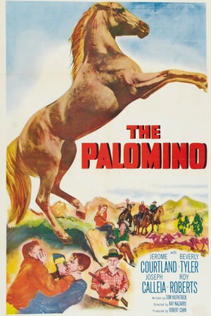 The Palomino   1950  DVD