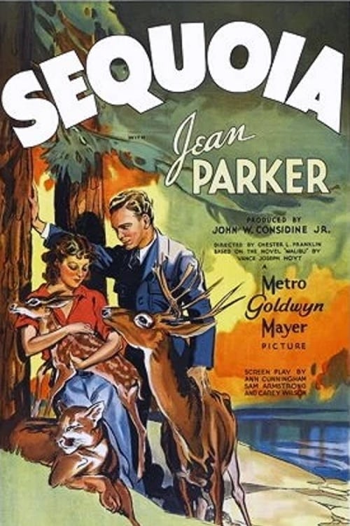 Sequoia  1934  DVD