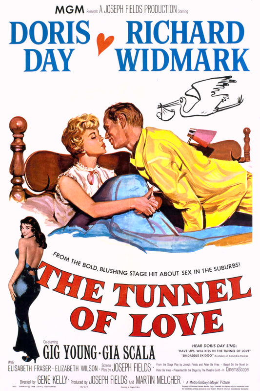 Tunnel Of Love   1958   DVD