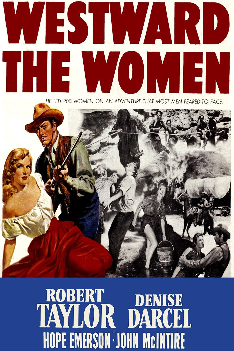 Westward The Women   1951   DVD